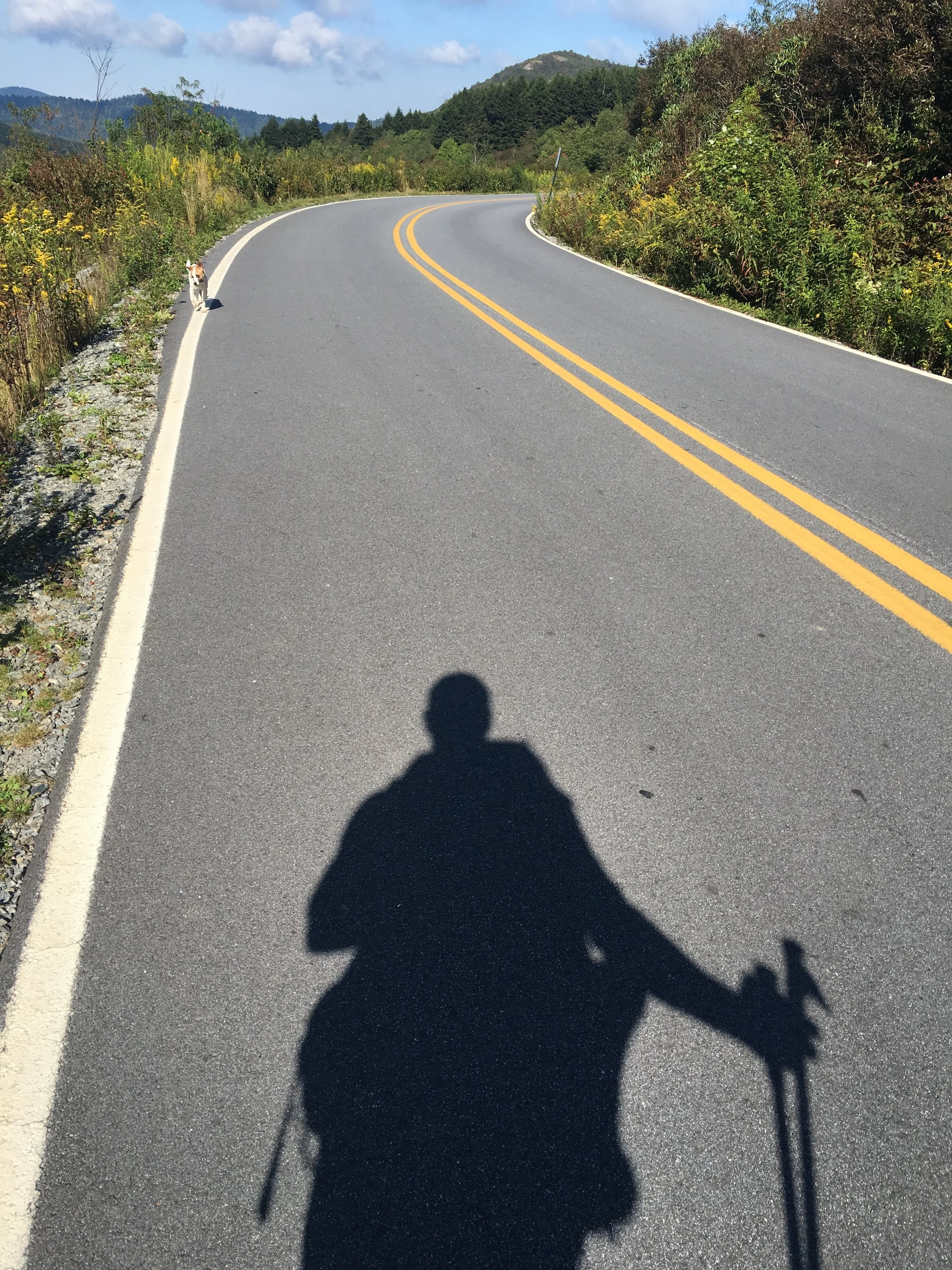 Open road